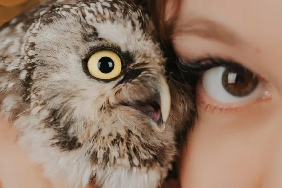 Казино Лъки Тайгър Поддръжка